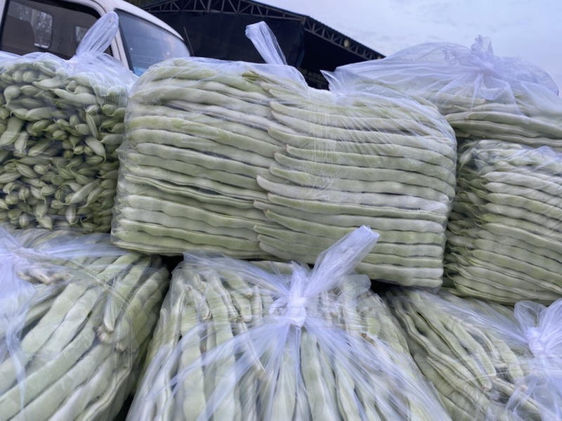 辽宁新民暖棚白豆角条长30厘米以上、货量大欢迎老板联系