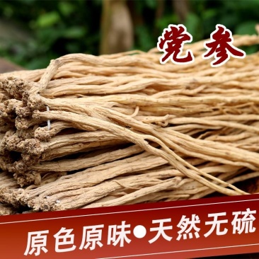 甘肃党参小货批发自然晒干产地发货小党参条