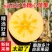 【包邮包赔】新疆特产阿克苏冰糖苹果当季新鲜5⃣斤