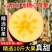 【包邮包赔】新疆特产阿克苏冰糖苹果当季新鲜5⃣斤