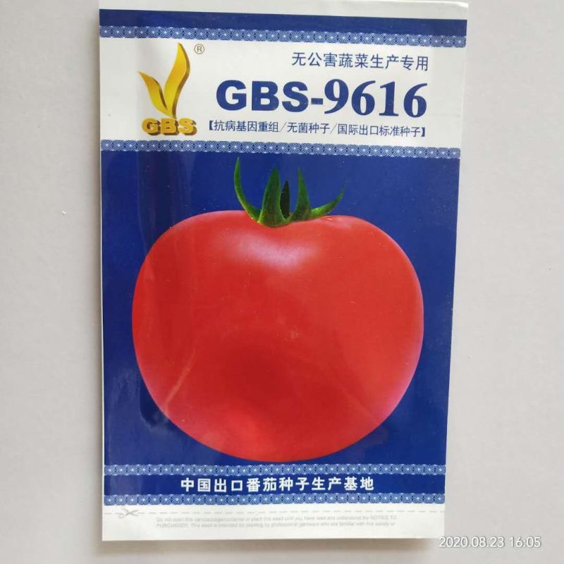 西红柿种子粉果早熟品种番茄耐运费品种种子