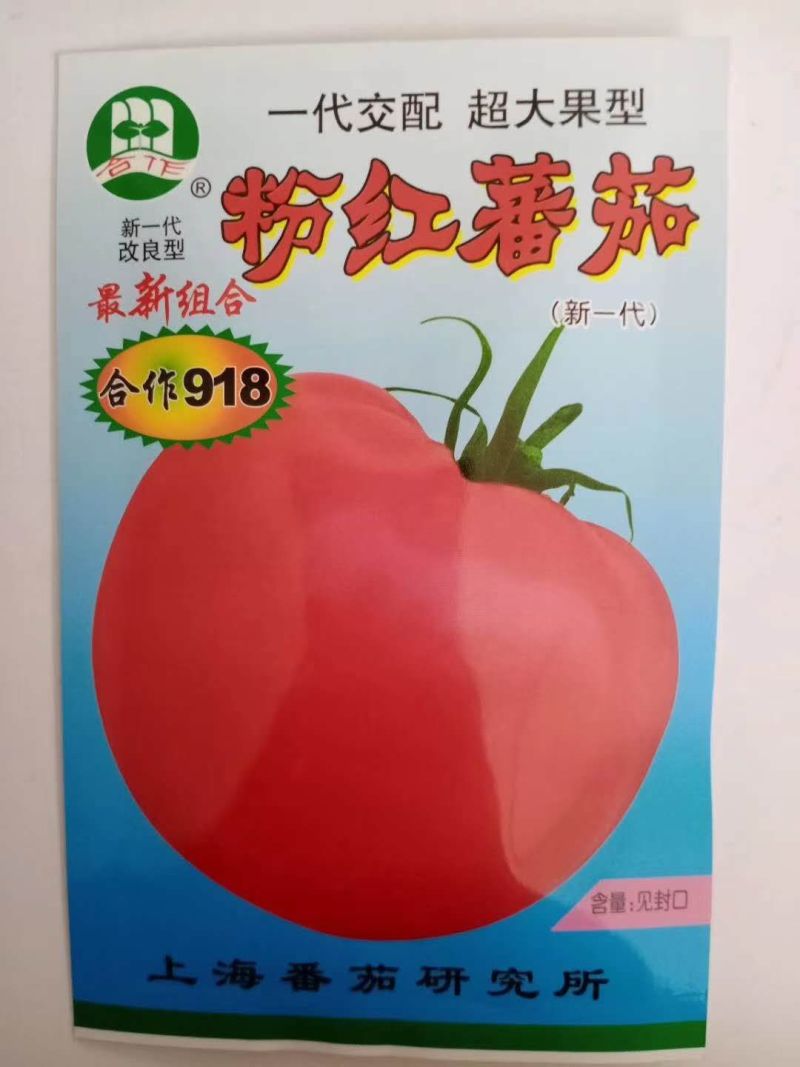 西红柿种子粉果早熟品种番茄耐运费品种种子