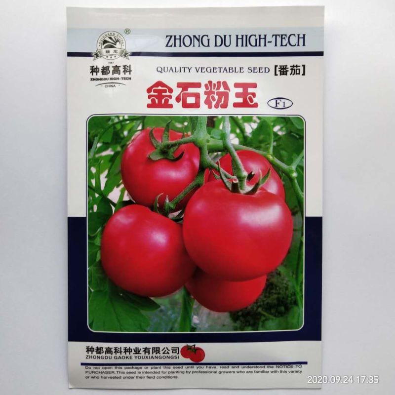 西红柿种子粉果早熟品种番茄耐运费品种种子