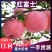 膜袋红富士苹果大量供应产地直销口感脆甜