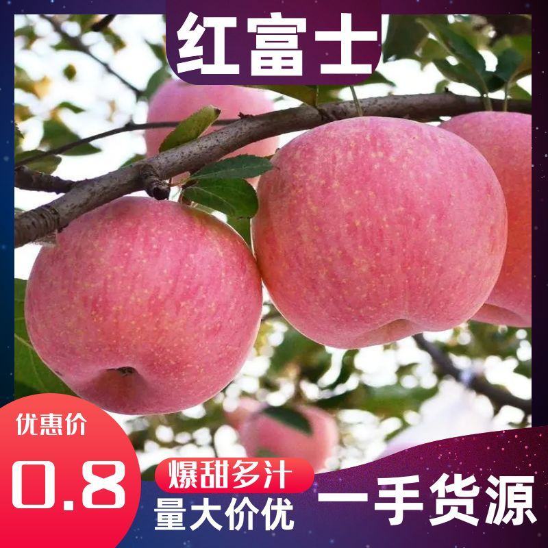 膜袋红富士苹果大量供应产地直销口感脆甜