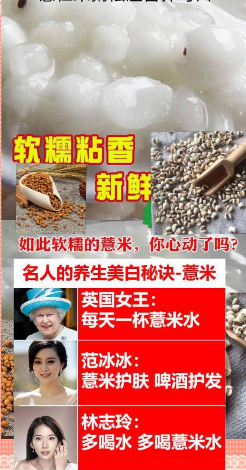 赤小豆药食同源赤小豆农家赤小豆熬粥赤小豆包邮