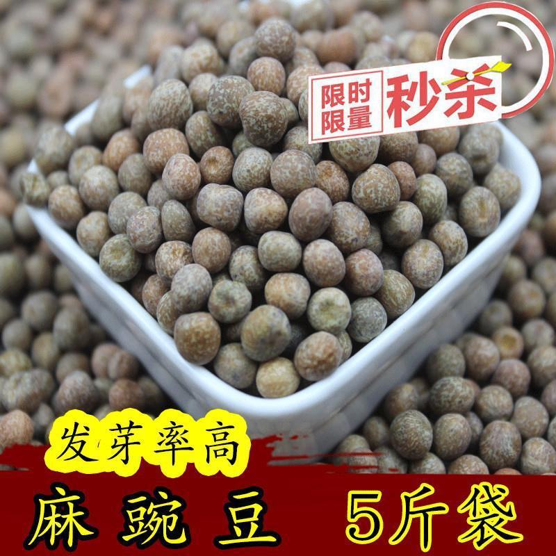 赤小豆药食同源赤小豆农家赤小豆熬粥赤小豆包邮