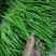 辣椒开始上市了，欢迎各地客商前来，其他蔬菜看图，