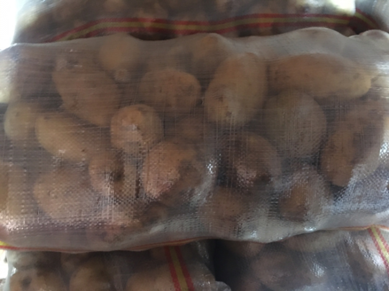 窖里的精品三两起的好土豆
