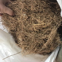 徐长卿辽叼竹支持线上交易量大从优