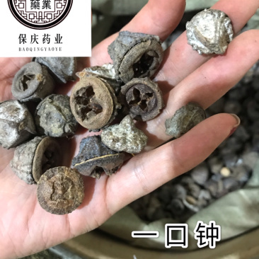 一口钟一口盅实物拍摄别名扣子七白树球中药材一口钟