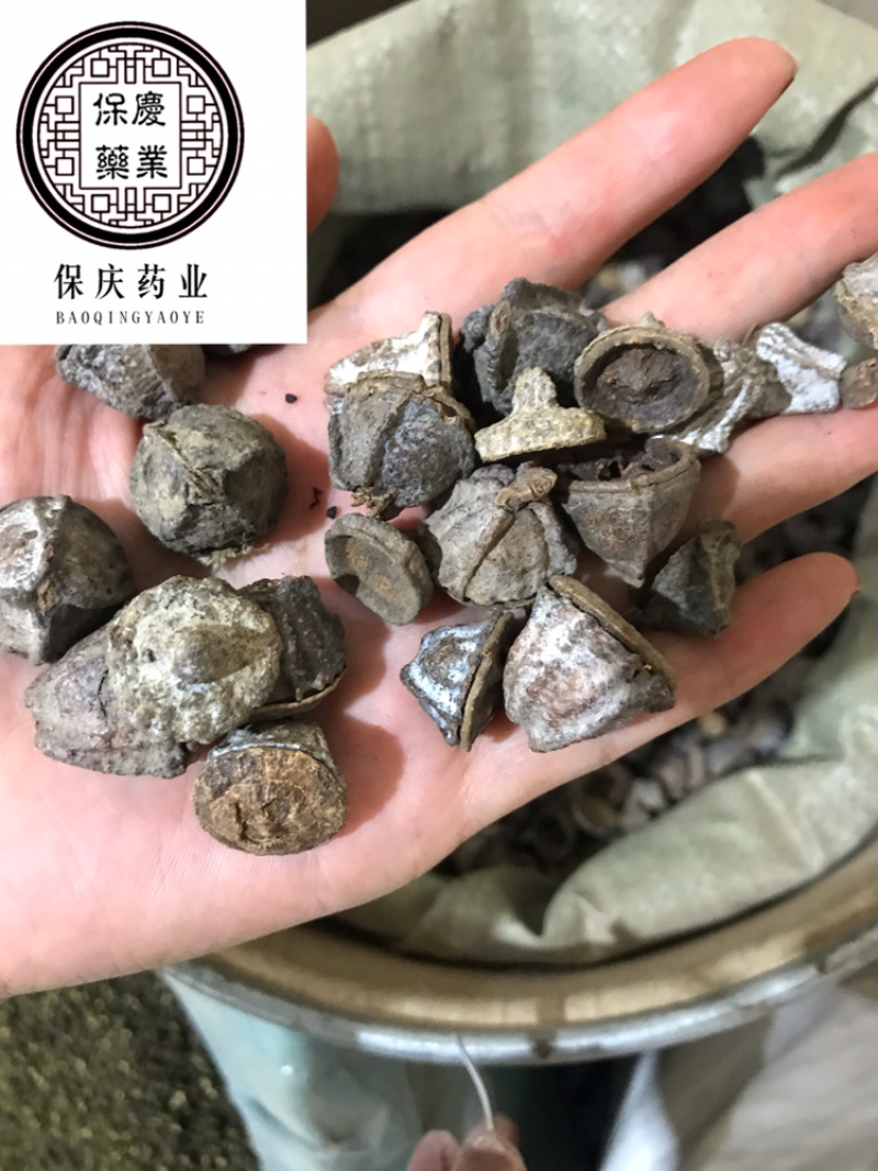 一口钟一口盅实物拍摄别名扣子七白树球中药材一口钟