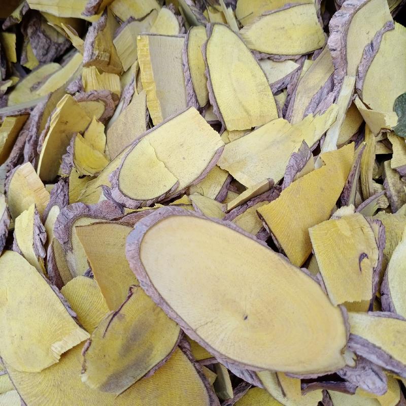 十大功劳木刺黄莲味苦，大量批发一手货源，切片约0.2cm