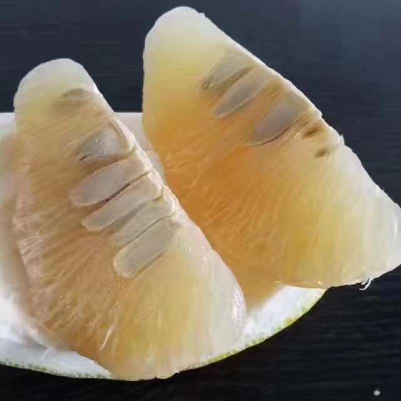 正宗梅州沙田柚，自产自销，量大从优