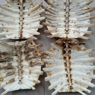 甲鱼壳，鳖甲个子(水洗净货、通货)