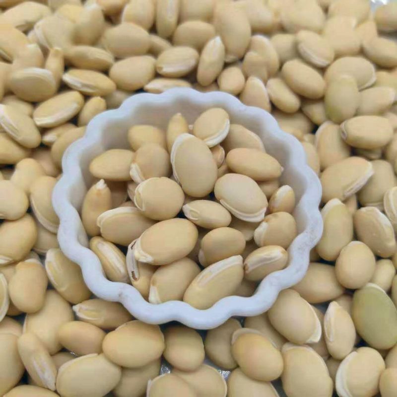 白扁豆别名火镰扁豆、峨眉豆，扁豆子、茶豆接受订单