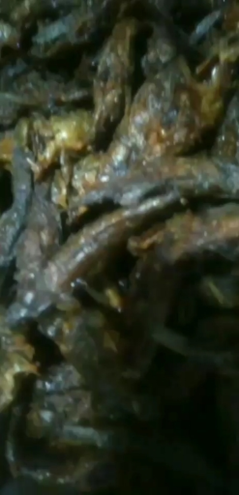 东北天然老头鱼，活鱼去鳞，去腮，净膛。味道口感鲜美