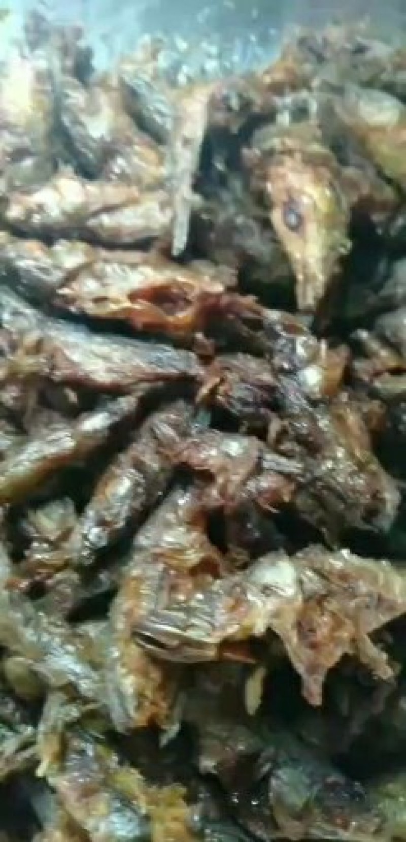 东北天然老头鱼，活鱼去鳞，去腮，净膛。味道口感鲜美