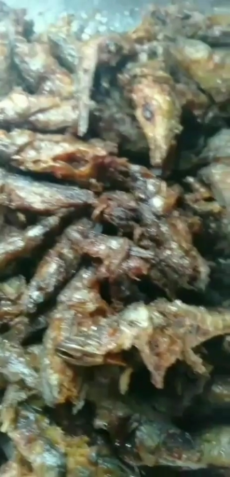 东北天然老头鱼，活鱼去鳞，去腮，净膛。味道口感鲜美