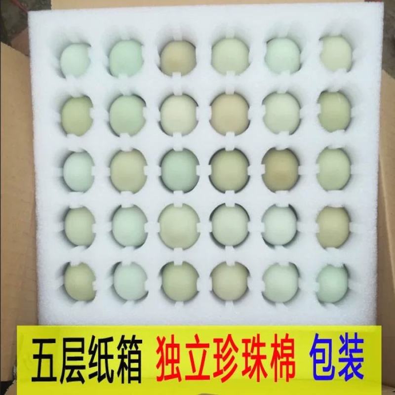 高山散养杂粮虫草桑叶喂养扶贫土鸡蛋一件代发，破损包赔