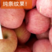 【热卖】富士苹果！山东优质红富士苹果，量大从欢迎咨询