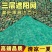 三层遮阳网防航拍伪装网迷彩网山体绿化室内吊顶装饰网防晒网