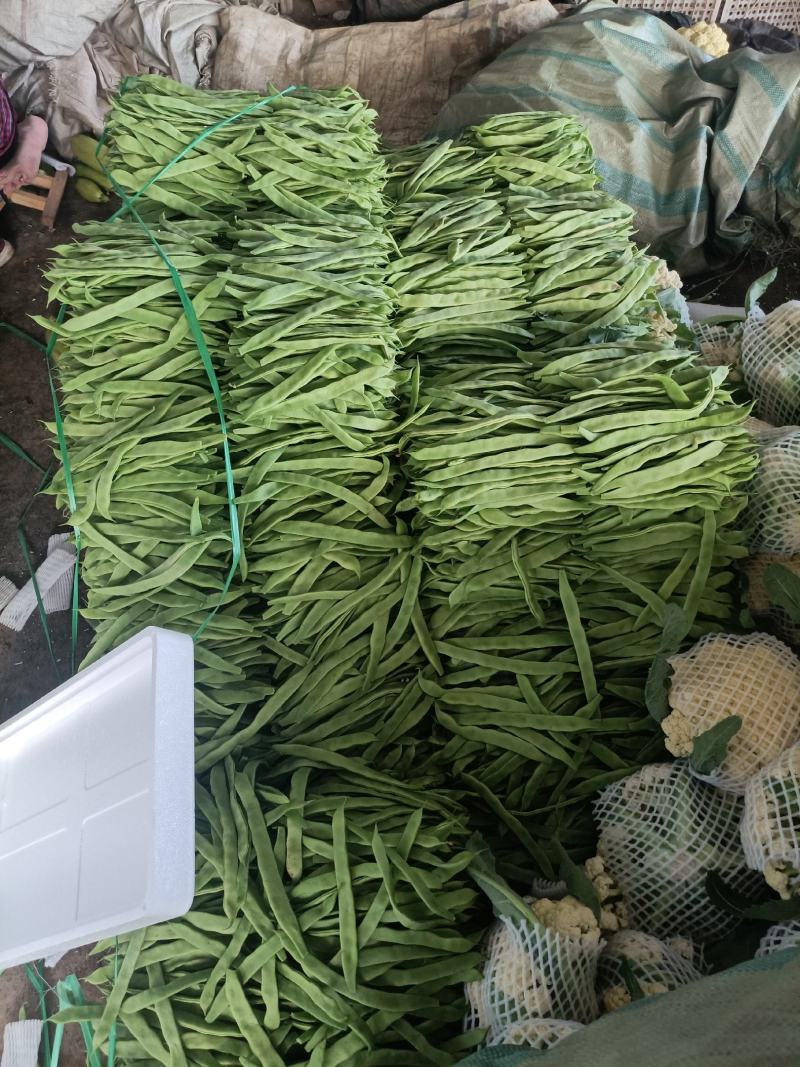 供应精品，扁豆，无丝豆，产地直供，代发全国各地