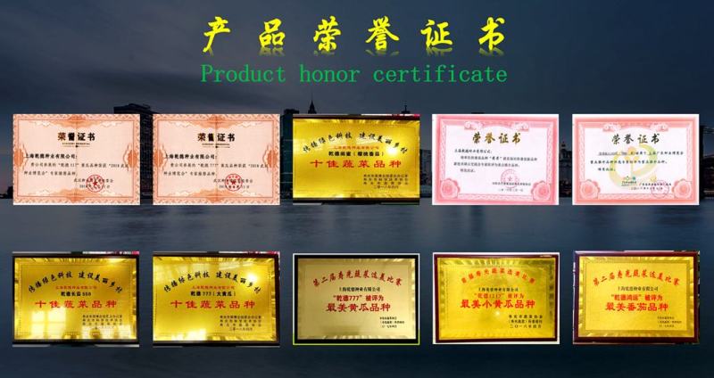 【包邮】圣丽一号黄绿皮尖椒，口感香辣辣椒种子