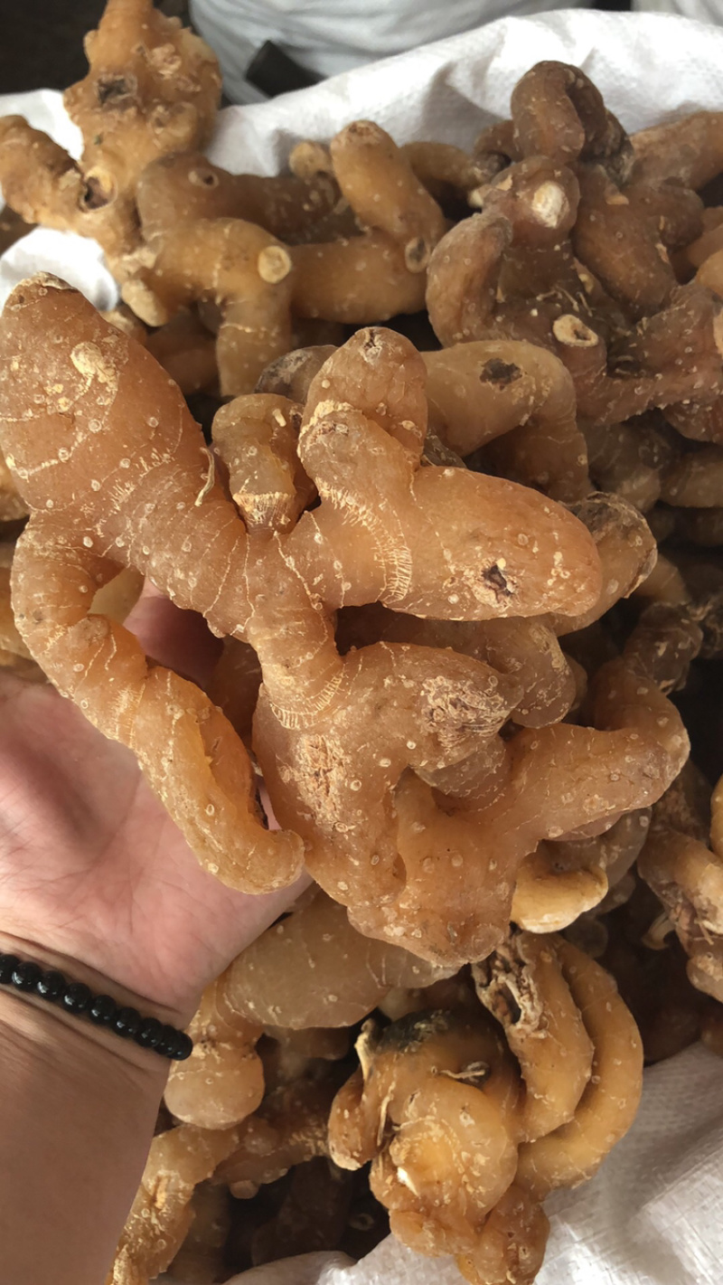 黄精统货甜黄精有需要可以联系我
