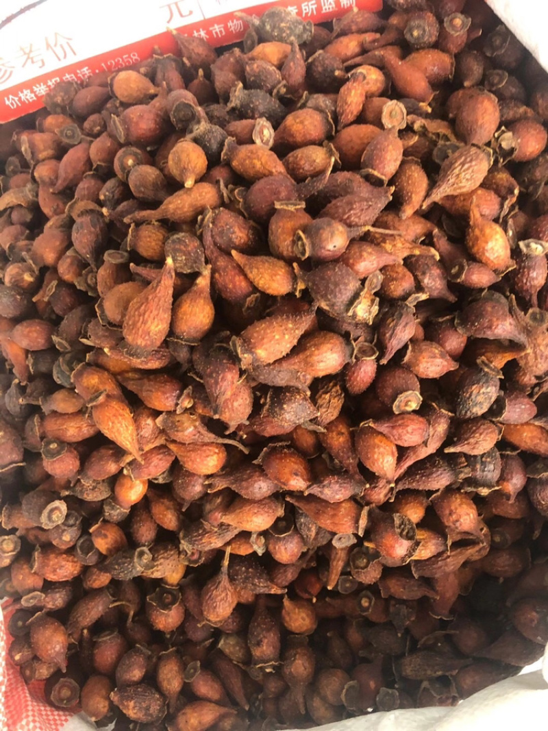 金樱子干货新货上市广西产地直供质量上乘货源稳定量大价优
