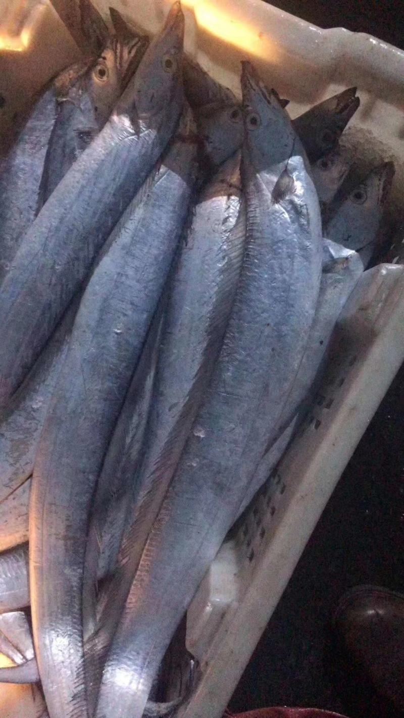 海鲜水产全国真通一手货源有人需要的私信