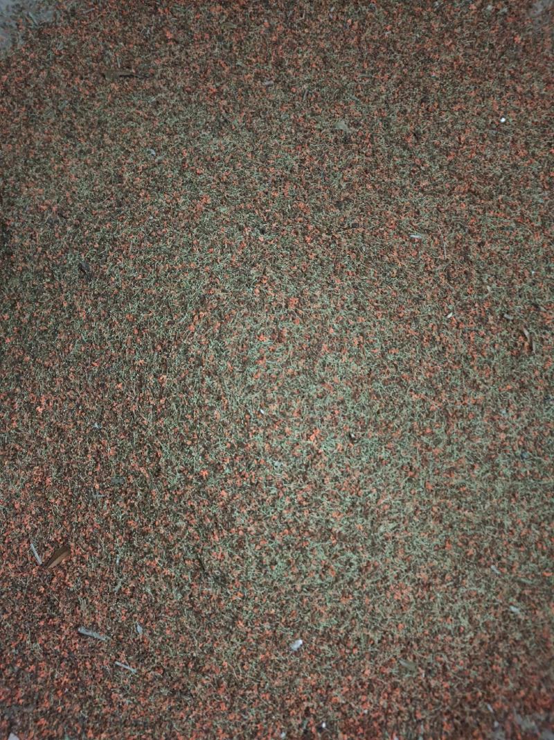 桂花干桂花干带蒂头