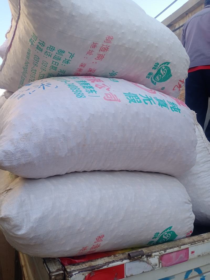 花生河北鲜花生万亩花生基地品质保证欢迎咨询