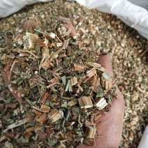 鬼针草别名鬼钗草鬼黄花婆婆针一把针一包针