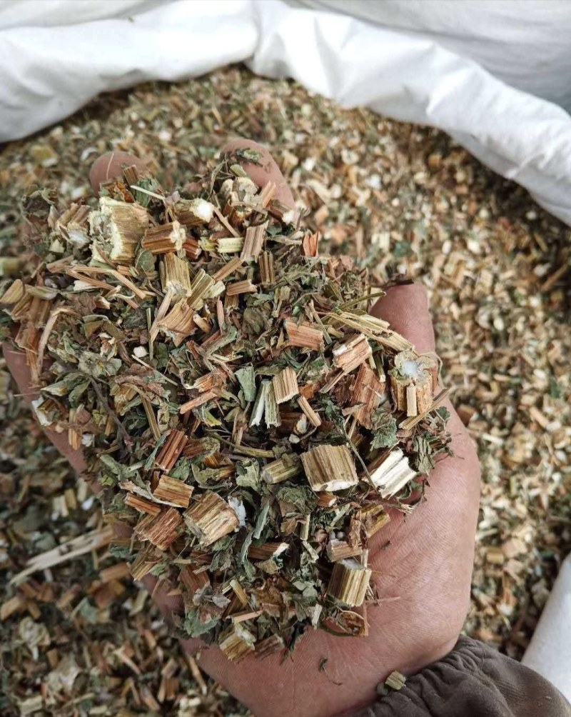 鬼针草别名鬼钗草鬼黄花婆婆针一把针一包针