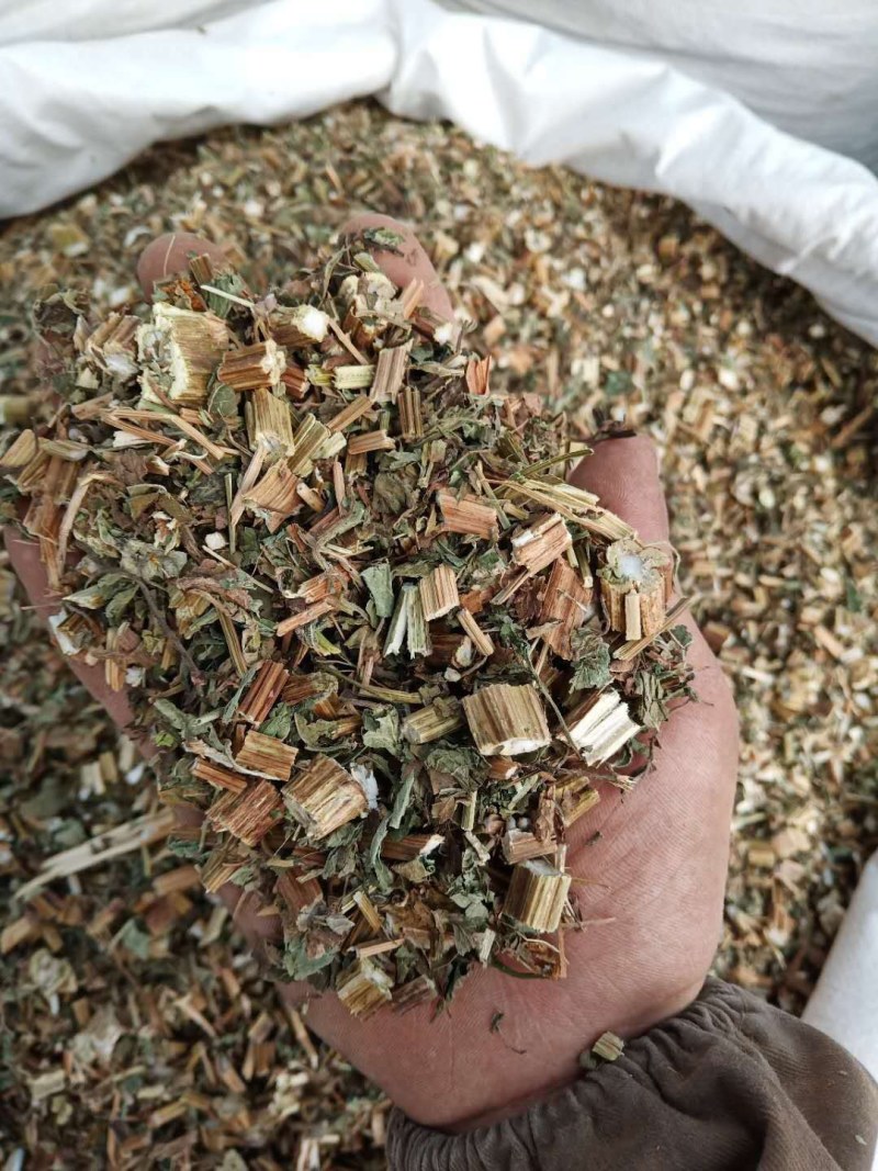 鬼针草别名鬼钗草鬼黄花婆婆针一把针一包针
