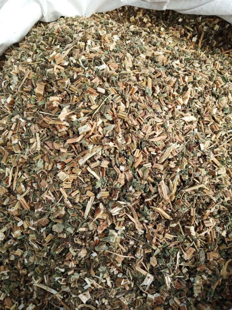 鬼针草别名鬼钗草鬼黄花婆婆针一把针一包针