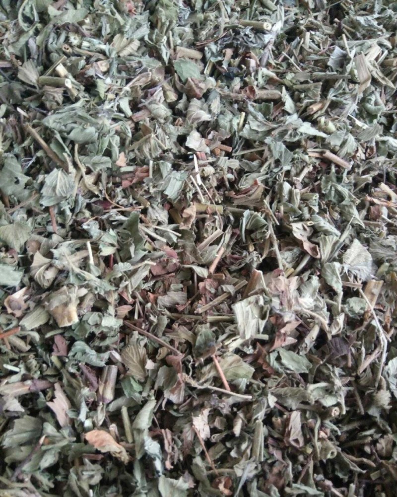 仙鹤草别名龙芽草、脱力草、狼牙草、金顶龙牙、黄龙尾