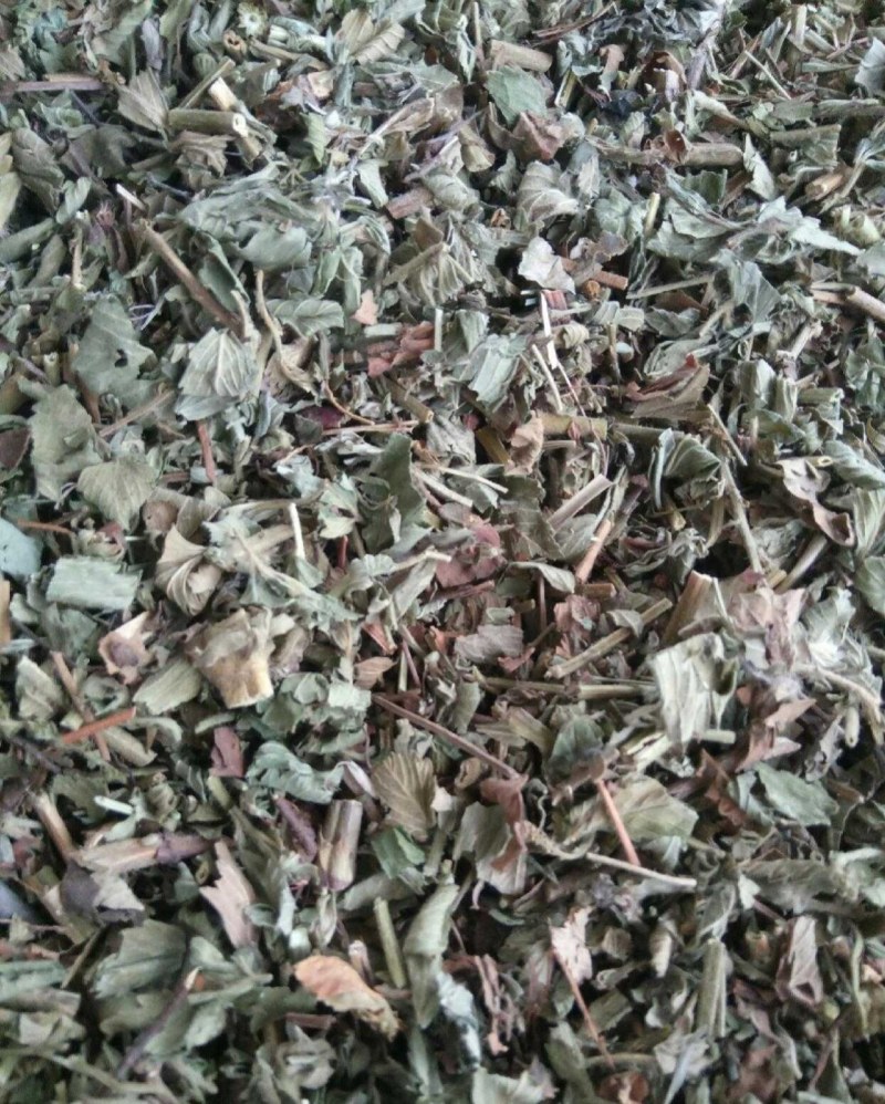 仙鹤草别名龙芽草、脱力草、狼牙草、金顶龙牙、黄龙尾