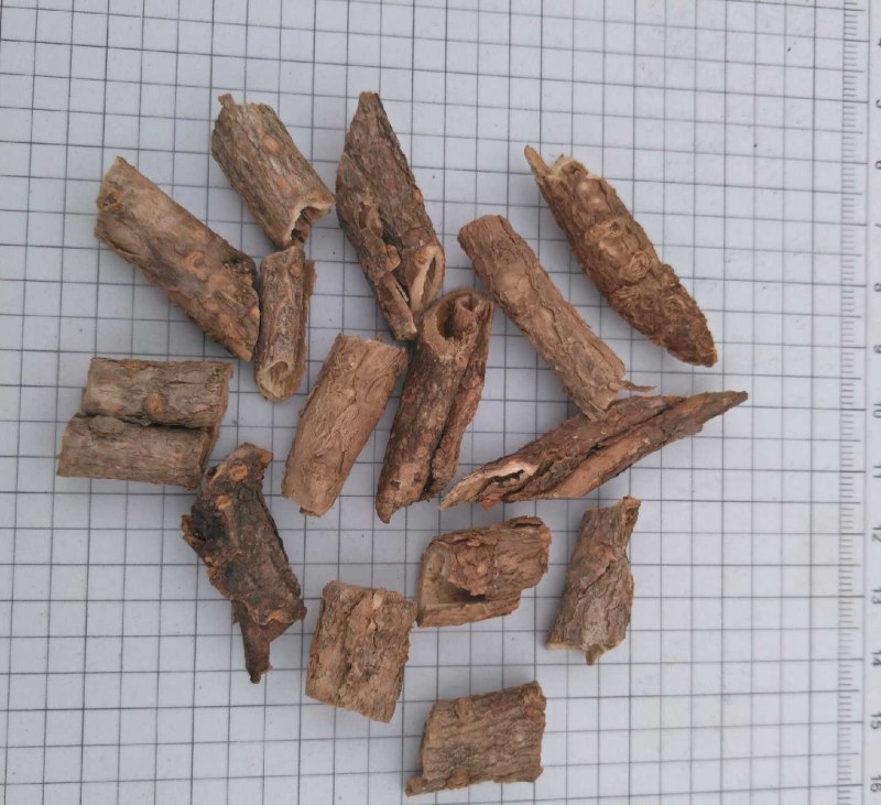 香五加皮产地直供支持线上交易各种规格接受订单