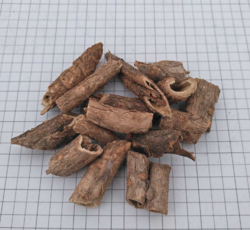 香五加皮产地直供支持线上交易各种规格接受订单