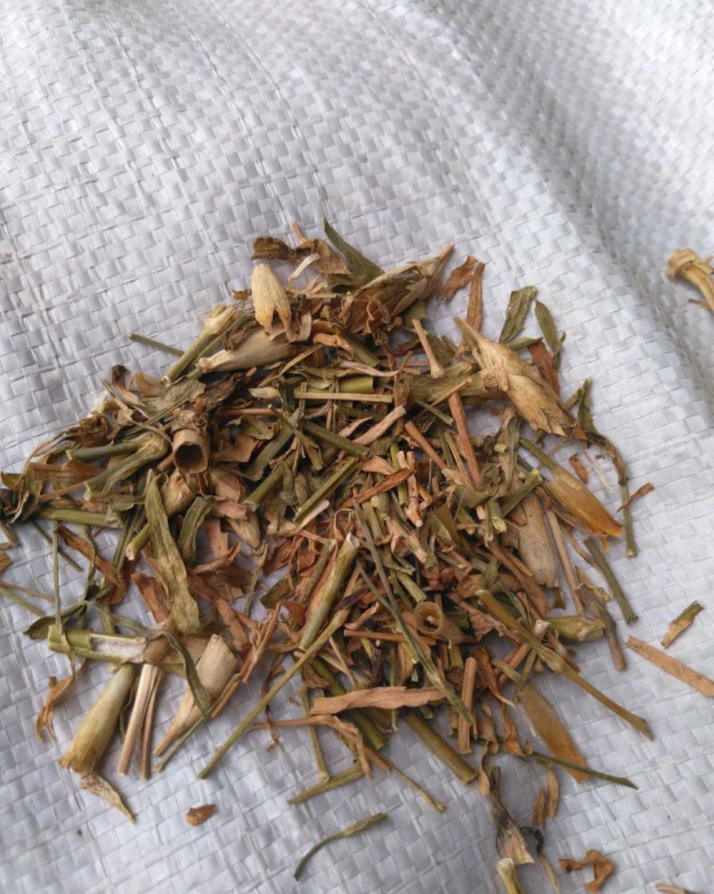 瞿麦产地直供支持线上交易各种规格接受订单