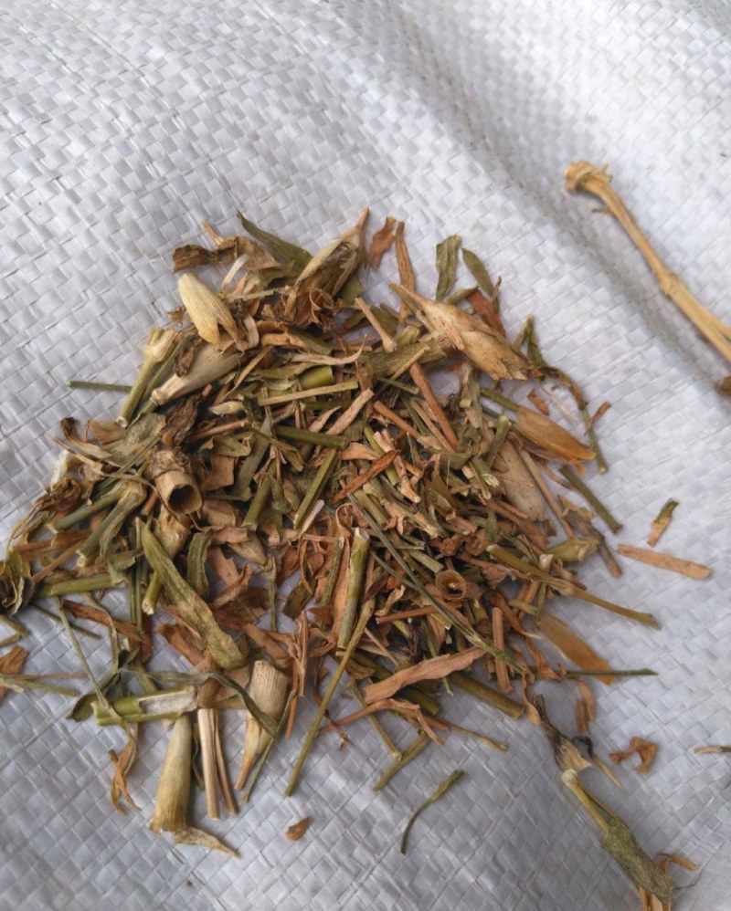 瞿麦产地直供支持线上交易各种规格接受订单