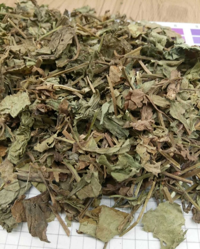 鱼腥草产地直供支持线上交易各种规格接受订单