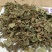 鱼腥草产地直供支持线上交易各种规格接受订单