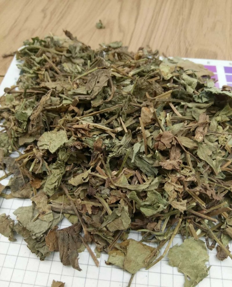 鱼腥草产地直供支持线上交易各种规格接受订单
