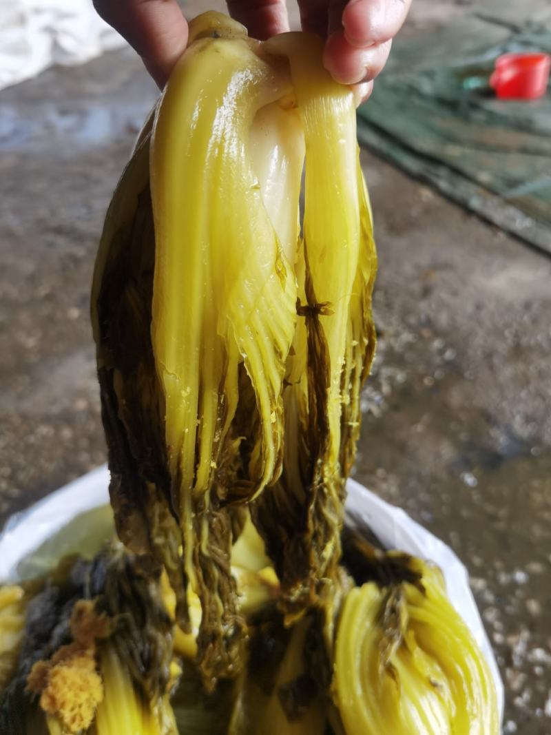 酸菜咸菜批发芥菜桶装散装包装