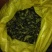 冻库老菱角（刚上市新鲜清洗干净打包的老菱角）