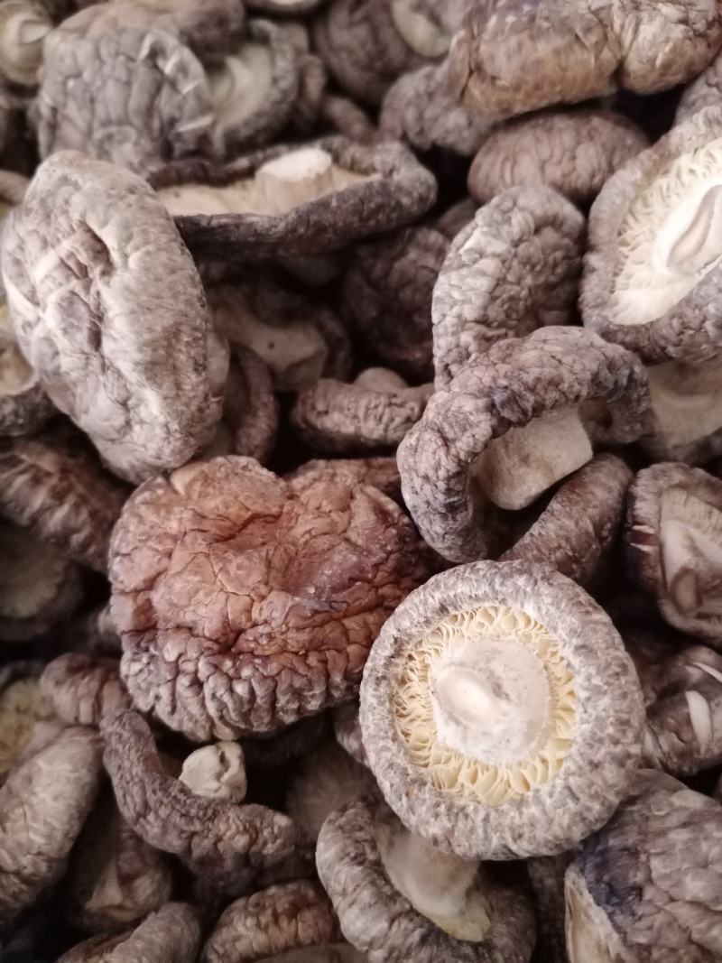 湖北省精品香菇代购代销