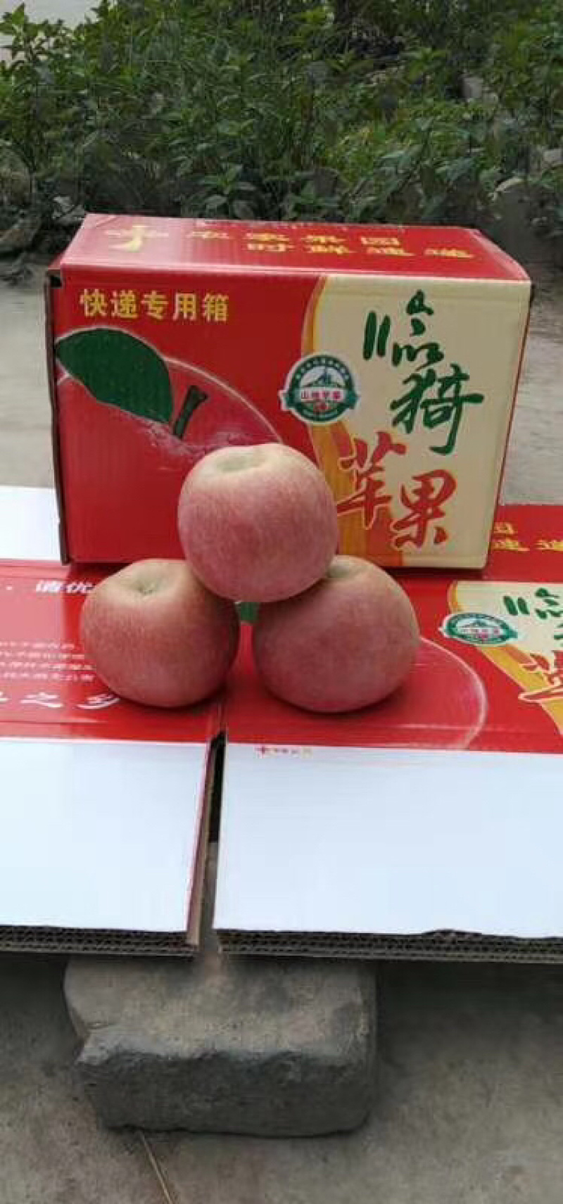山西运城红富士苹果糖心苹果微商电商一件代发
